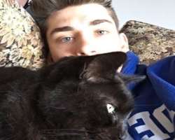 He often features his black cat in his Instagram posts which shows his love for the cats.